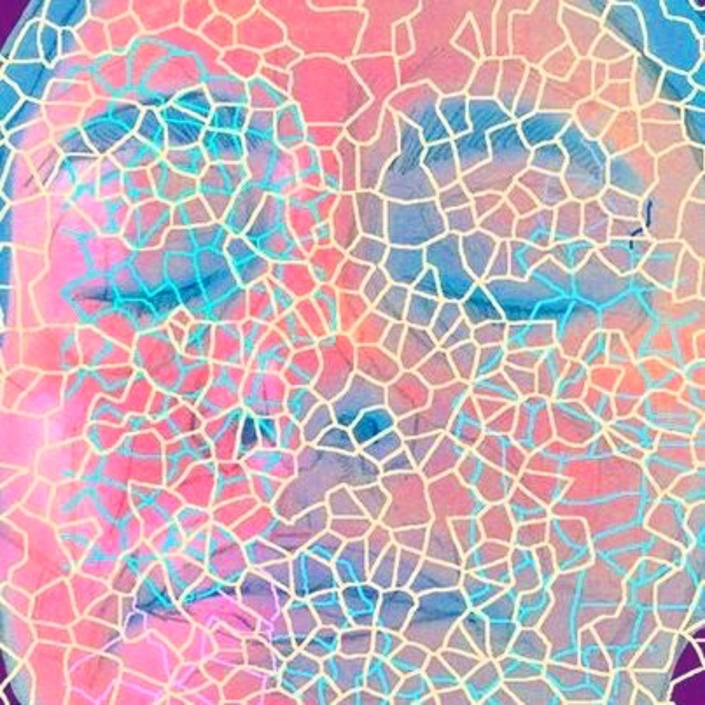 Meet your Posher, Anya